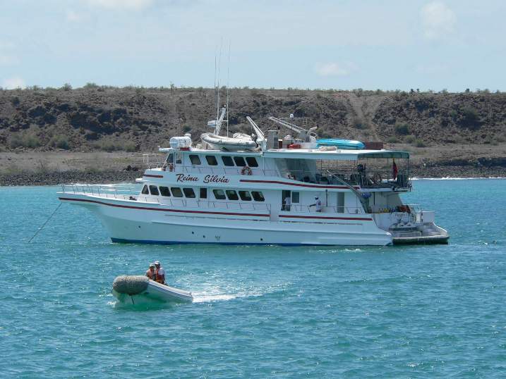 Reina Silvia